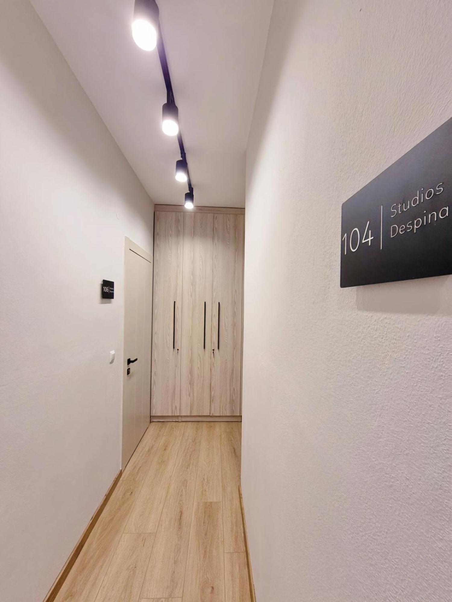 Studios Despina 利迈纳里亚 外观 照片